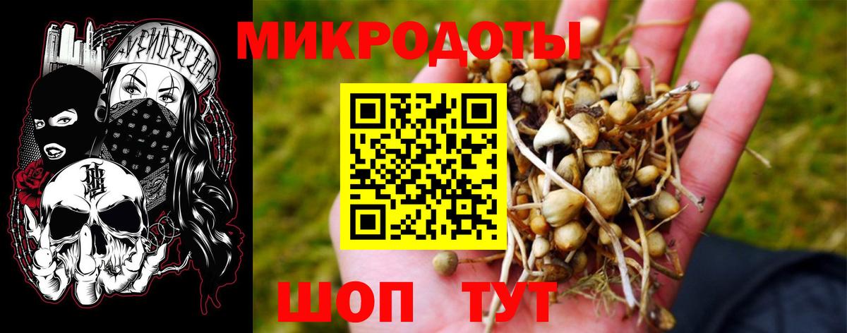Новоалтайск  Галлюциногенные грибы Cubensis  Вход с VPN 
